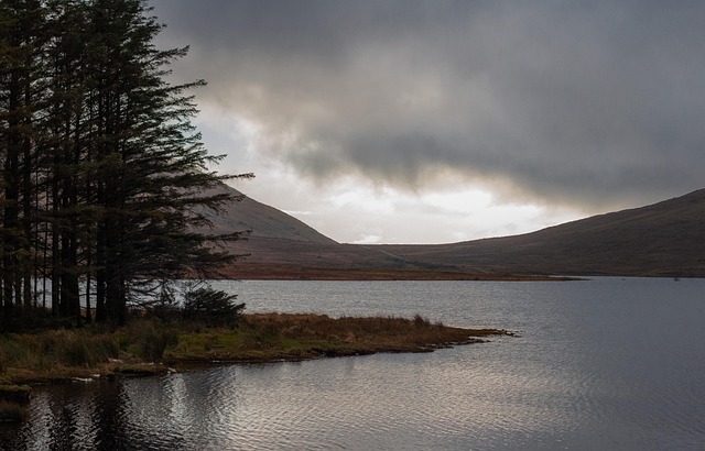 Free Spelga Dam Lake photo and picture