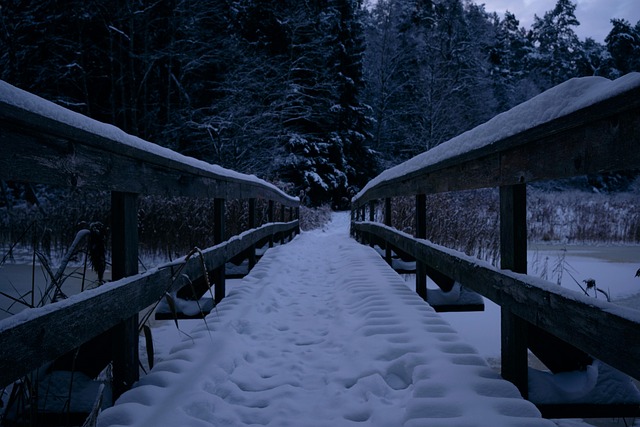 Vinter, Sne, Landskab, Natur, Bro