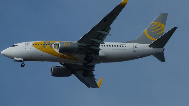 Free Plane Passenger Aircraft photo and picture