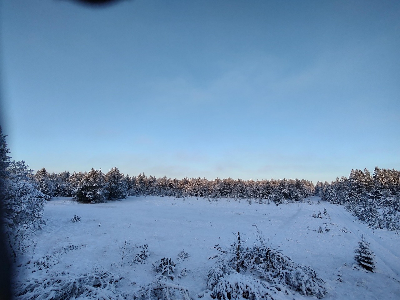 冬天 雪 - Pixabay上的免费照片 - Pixabay