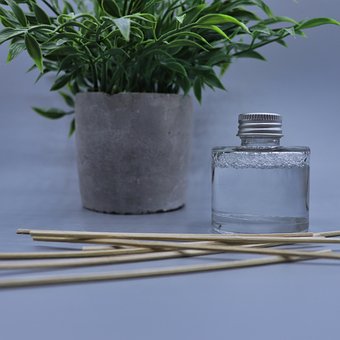 Difuzor, Plantelor, Stuf, Aromă, Parfum