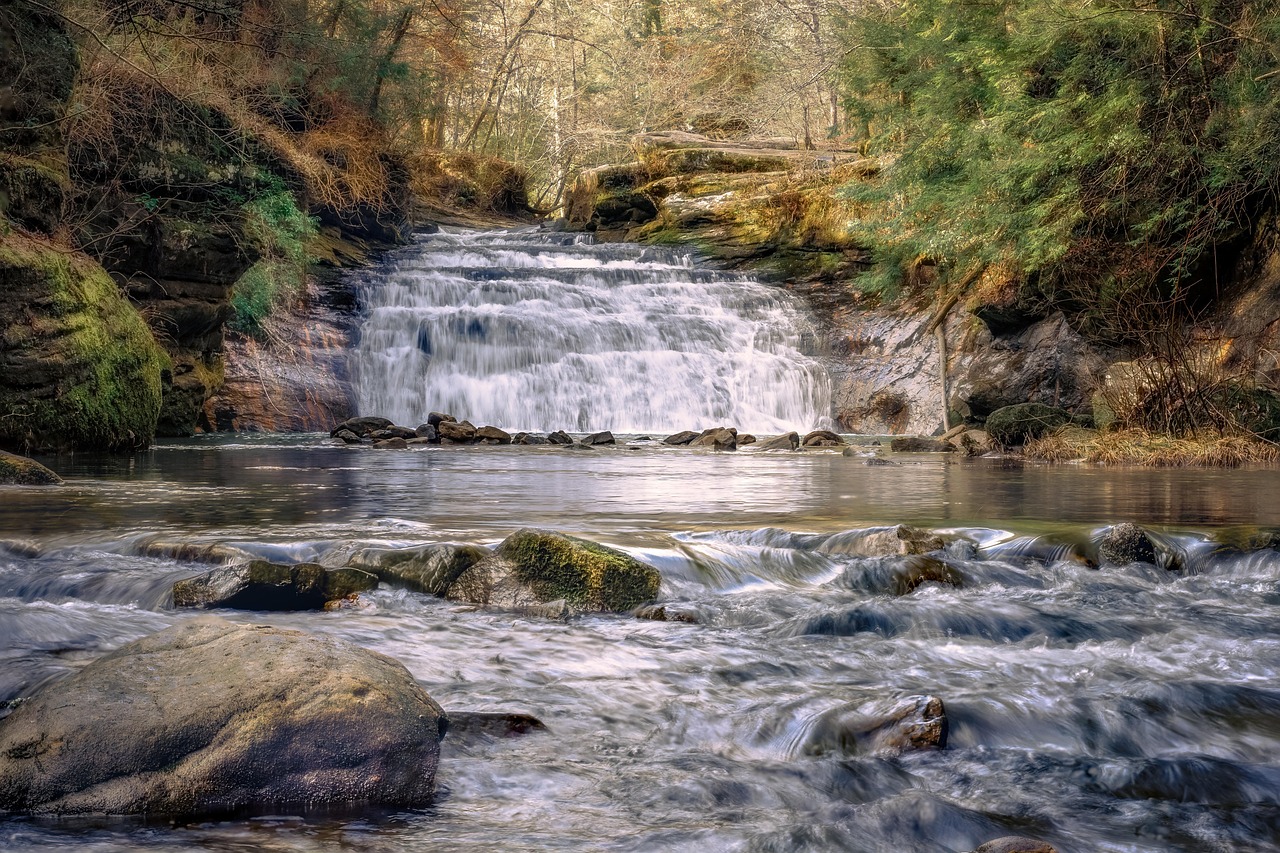 River - free online jigsaw puzzle photo