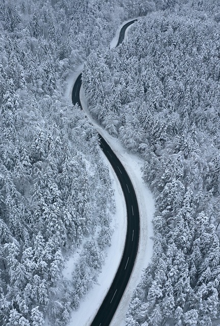 Free Winter Winding Road photo and picture
