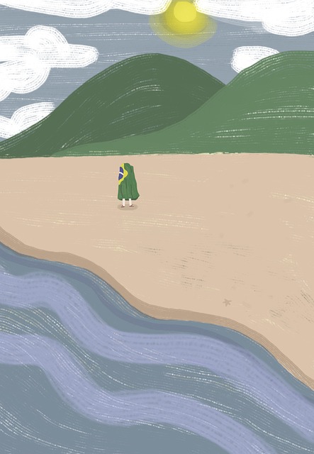 Free sea brazil flag illustration