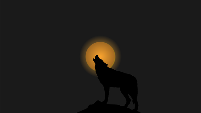 Free Wolf Moon vector and picture