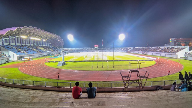 Free Stadium Football photo and picture