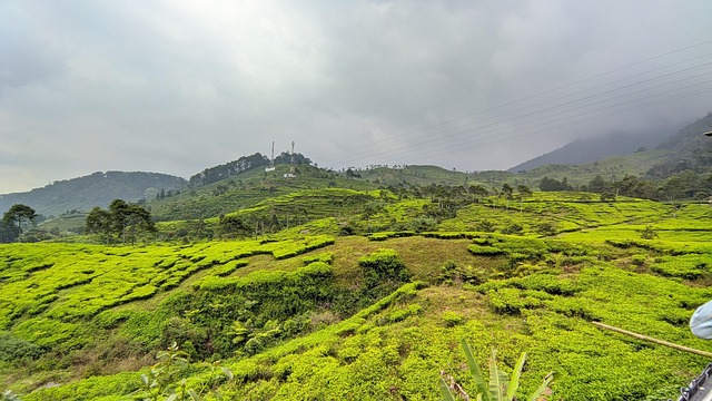 Free Mountains Rumput photo and picture