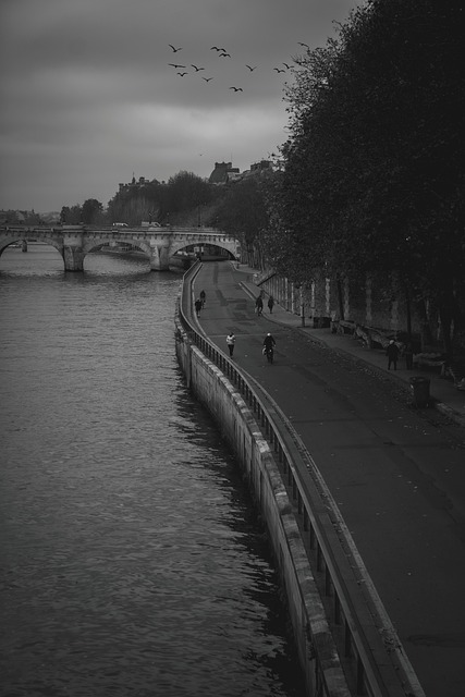 Free River Road photo and picture