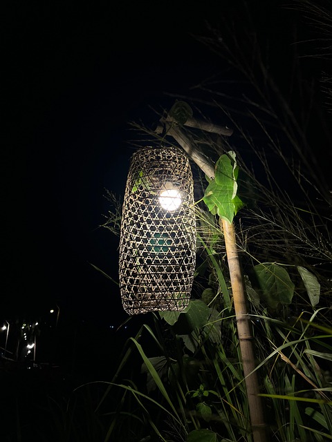 Free Light Night photo and picture