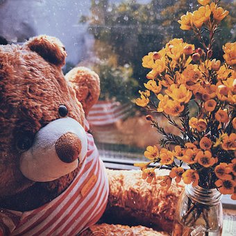 Free Bear Flower photo and picture