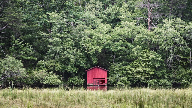 Free House Cabin photo and picture