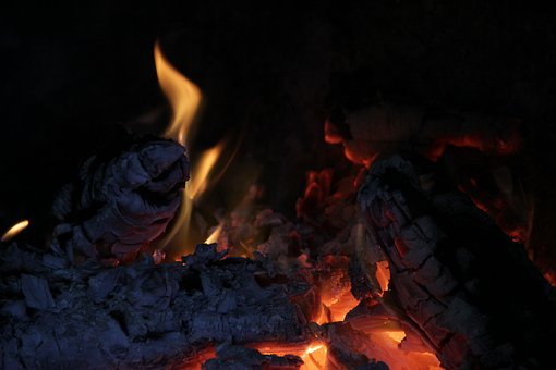 Lama, Brasas, Chimenea, Invierno