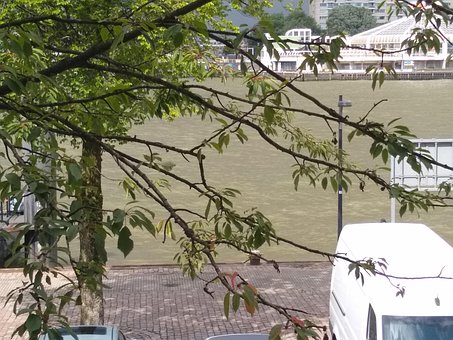 Apa Verde, Apă, Plasă