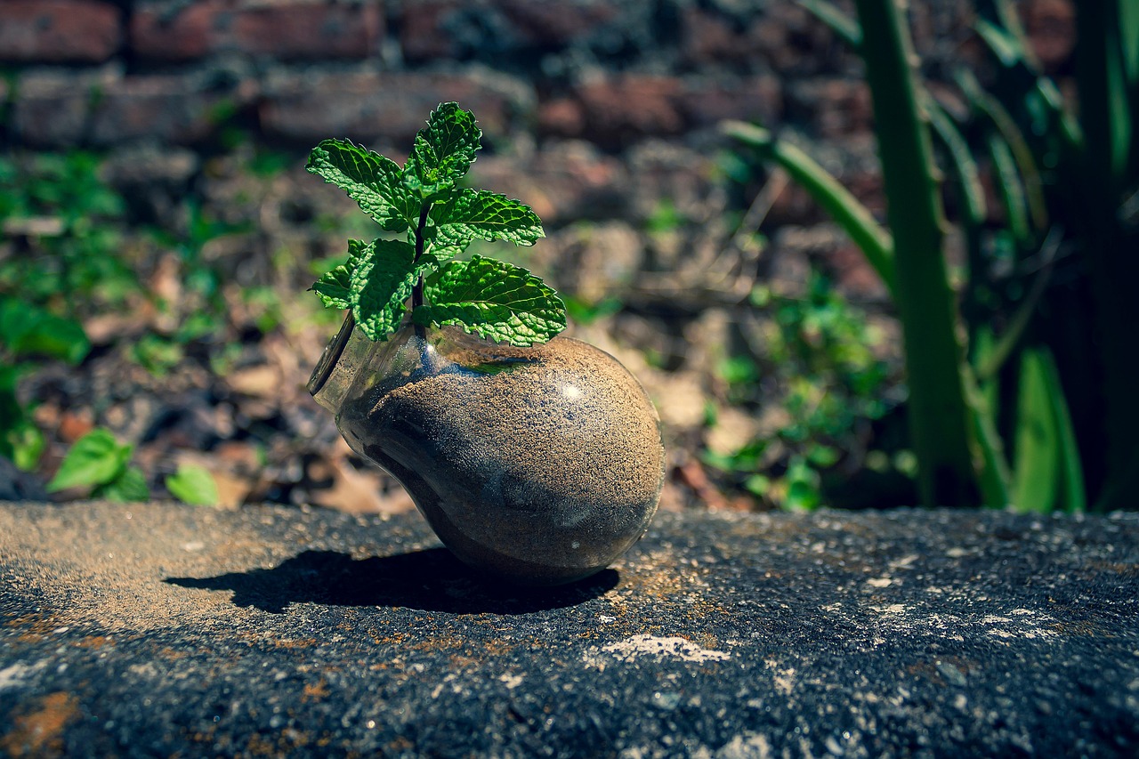 30,000+ Free Light Bulb On Off & Light Bulb Images - Pixabay