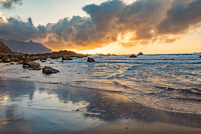 Free Sea Ocean photo and picture