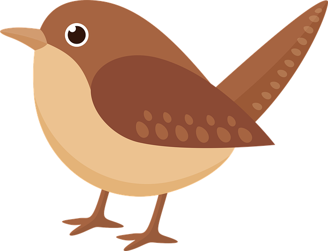 Zaunkönig, Vogel, Natur, Tier, Tierwelt