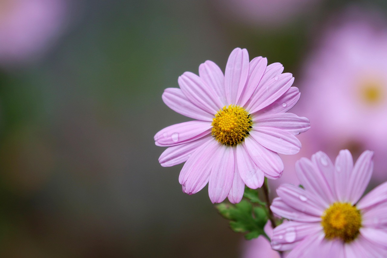 Gujeolcho - free online jigsaw puzzle photo