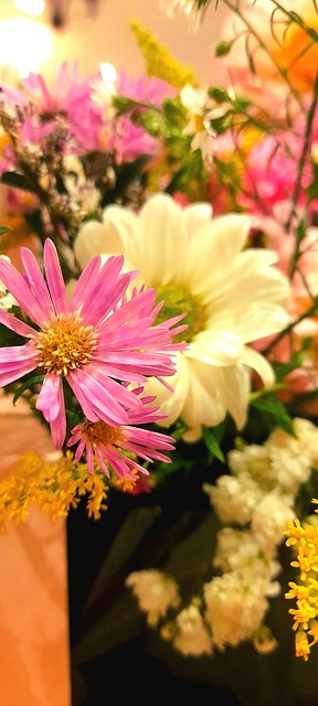 Free Daisy Floral photo and picture