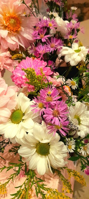 Free Daisy Blossom photo and picture