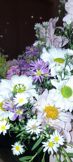 Free Flower Floral photo and picture