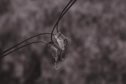 Free Electricity Cable photo and picture