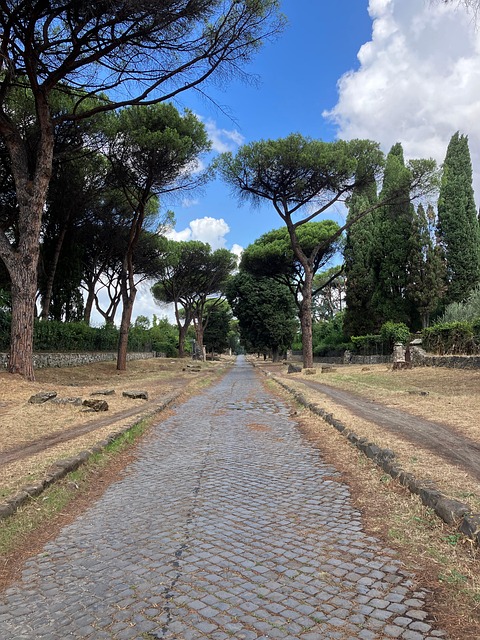 Free Rome Appia photo and picture