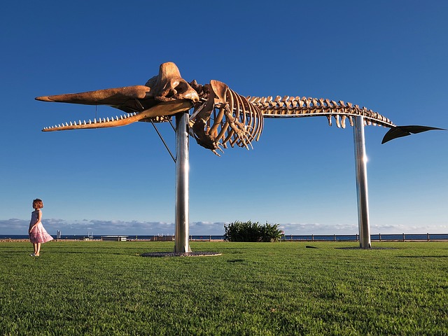 Fuerteventura, Kanaren, Morro Jable