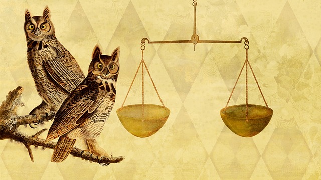 Download free HD stock image of Art Background Free art background owl illustration