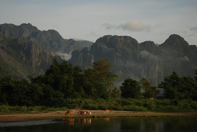 Free River Forest photo and picture