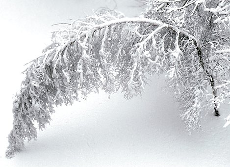 Free Winter Nature photo and picture