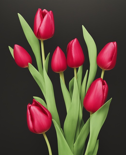 Ai Generiert, Rote Tulpen, Natur, Tulpen