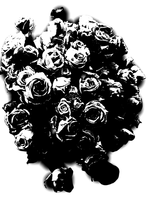 Roser, Blomster, Skåret Ud, Blomstre