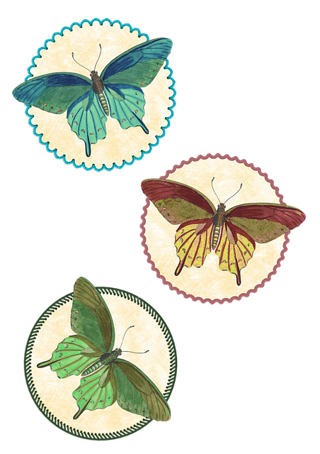 Free butterflies insects icons illustration
