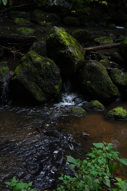 Free Nature Waterfall photo and picture
