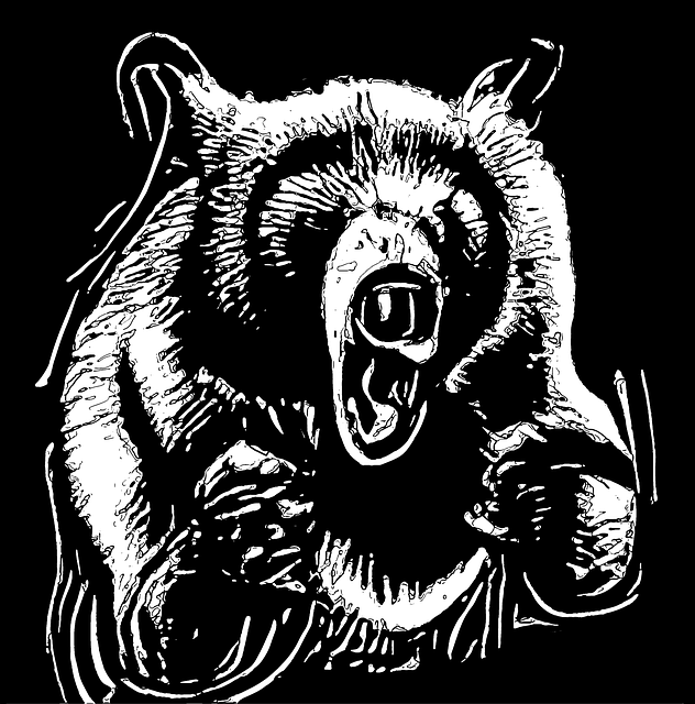 Free bear mammal attacking illustration