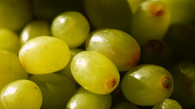 Free Fruit Grape photo and picture