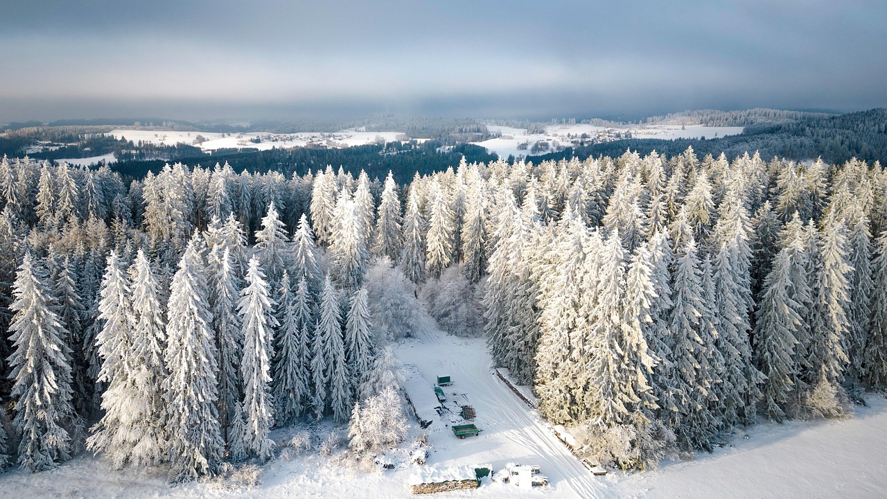 Winter Landscape Black Forest Snow - Free photo on Pixabay - Pixabay