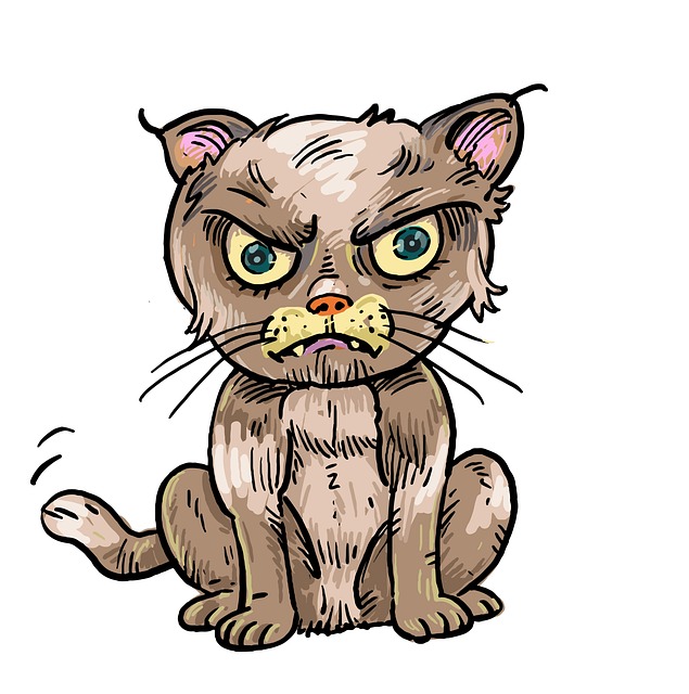 แมว, สัตว์, การ์ตูน, โกรธ, น่ารัก