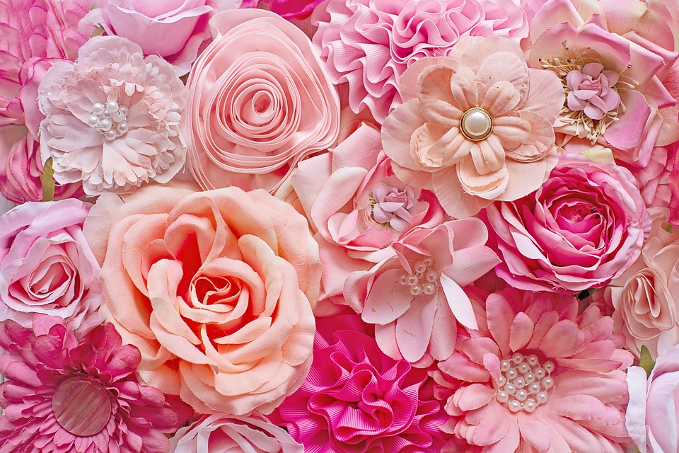 Beautiful Pink Flower Wallpaper Desktop