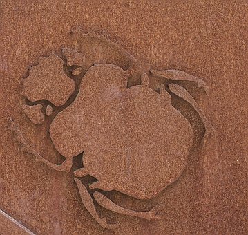 Käfer, Metall, Rost, Zeichnung, Relief