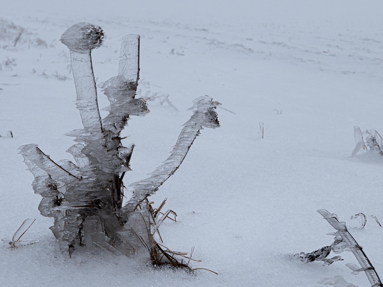 冬天 雪 冰 - Pixabay上的免费照片 - Pixabay