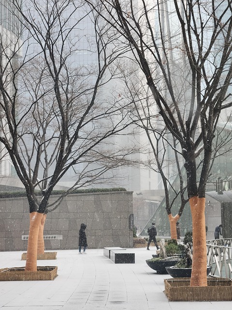 Free Winter Snow photo and picture