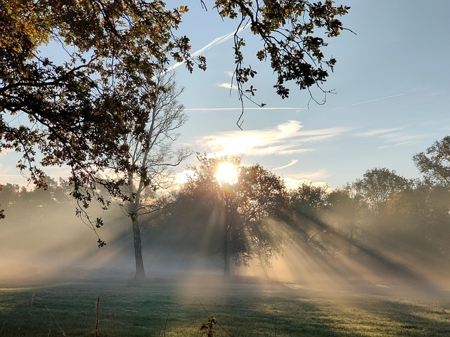 Free Sunrise Solar Harp photo and picture