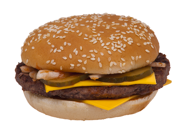 Free cheeseburger hamburger sandwich illustration