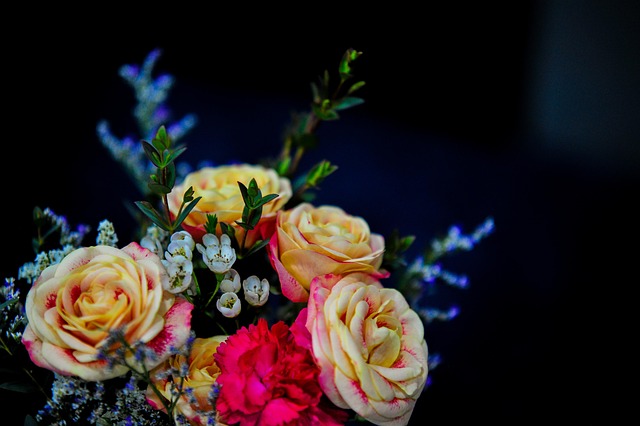 Blomster, Potteplante, Plante, Baggrund