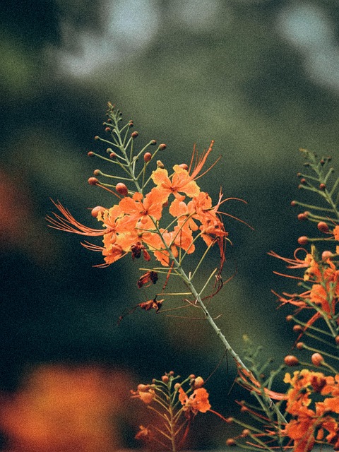 Free Moody Grain photo and picture