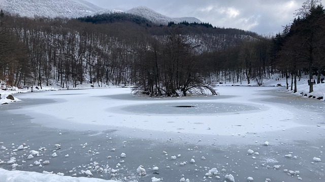Free The Needle Ice photo and picture