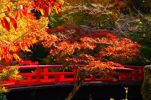 Free Miyajima Japan photo and picture