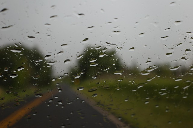 Gade, Landlige, Struktur, Dråber, Regn