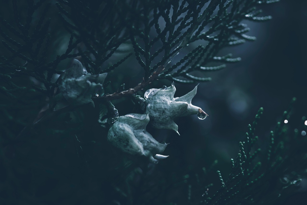 400,000+ Free Moody Background & Moody Images Pixabay